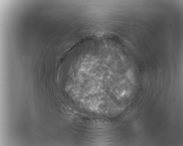 X0000066931105200604071839