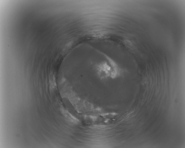 X0000066931106200604071839