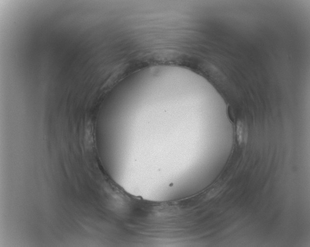 X0000066931107200604071839