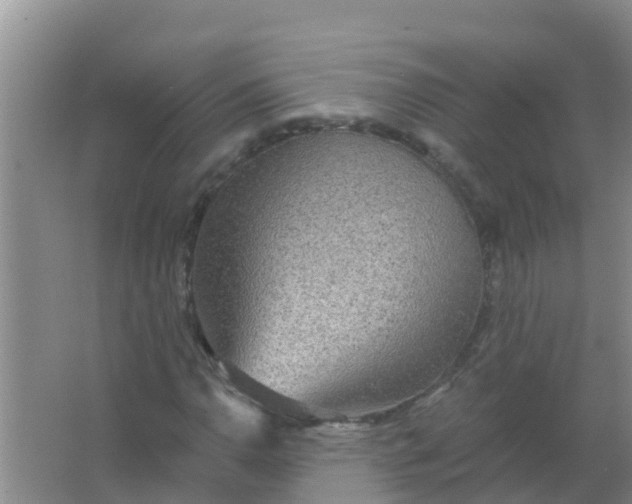 X0000066931110200604071839