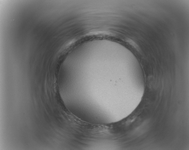 X0000066931111200604071839