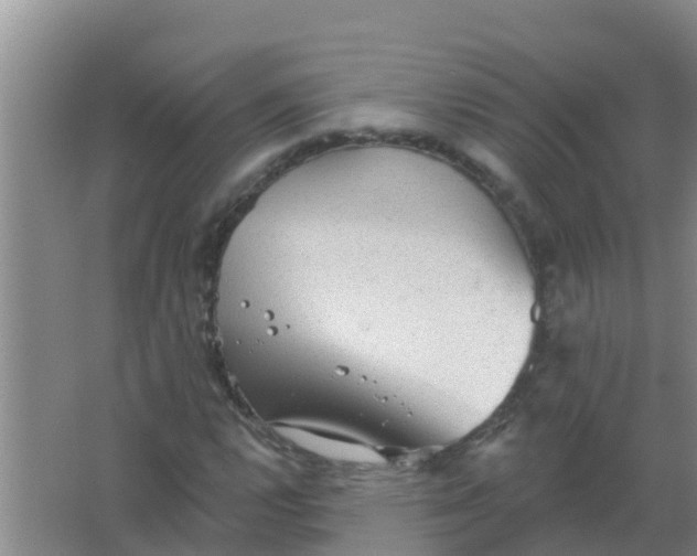 X0000066931112200604071839