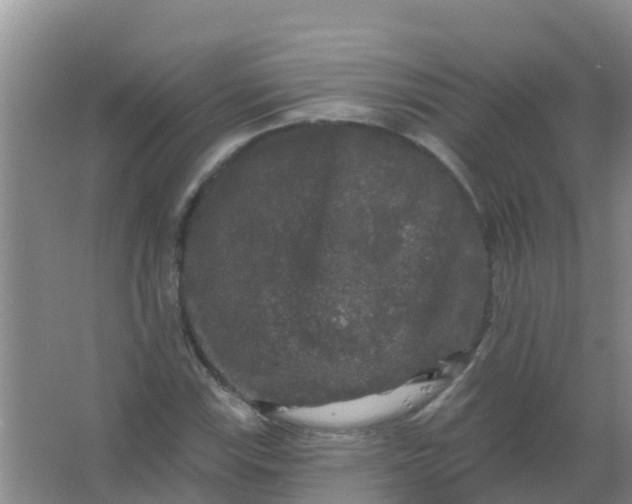 X0000066931115200604071839