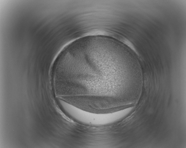 X0000066931116200604071839