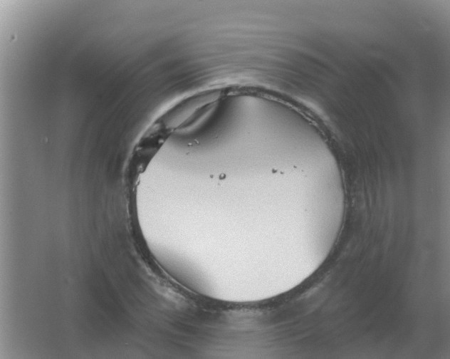 X0000066931118200604071839