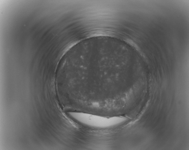 X0000066931121200604071839