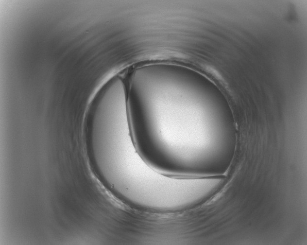 X0000066931122200604071839