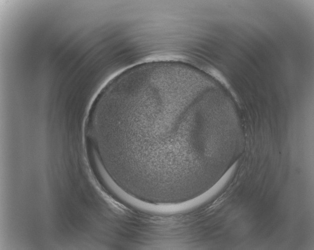 X0000066931124200604071839