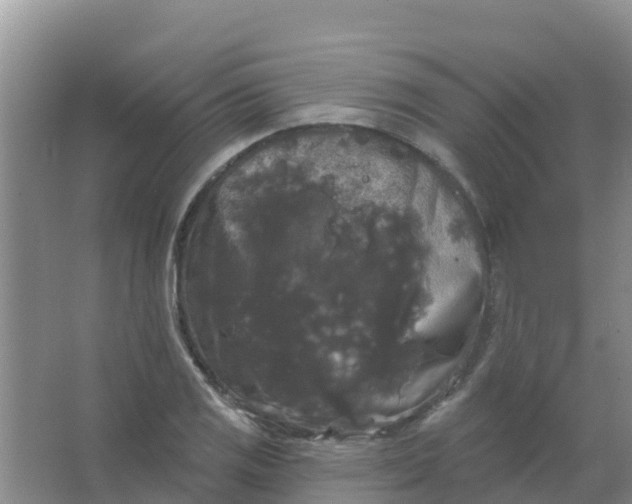 X0000066931125200604071839