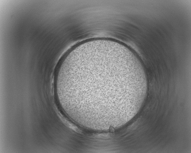 X0000066931126200604071839