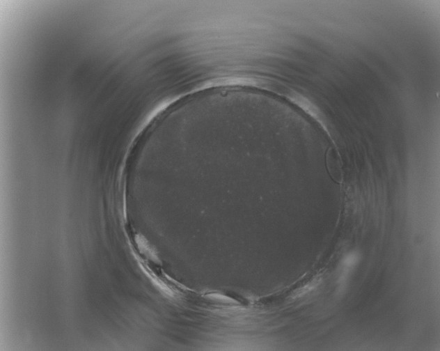 X0000066931127200604071839