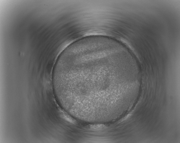 X0000066931129200604071839