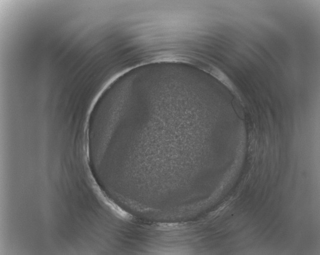 X0000066931132200604071839