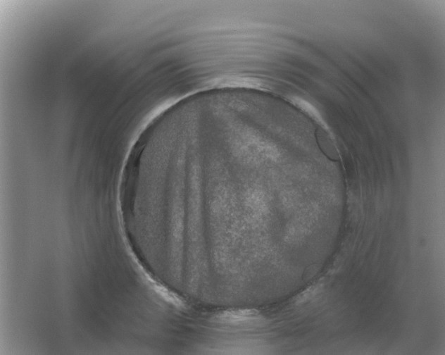 X0000066931133200604071839