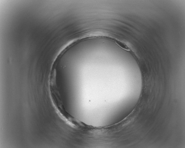 X0000066931134200604071839