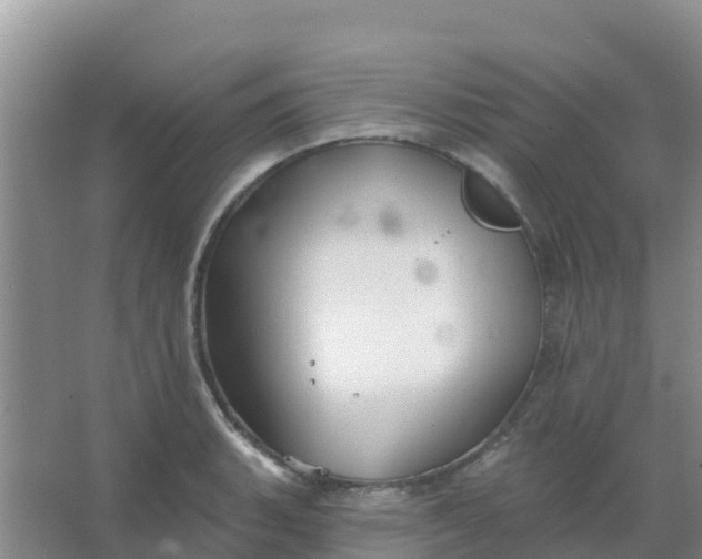 X0000066931135200604071839