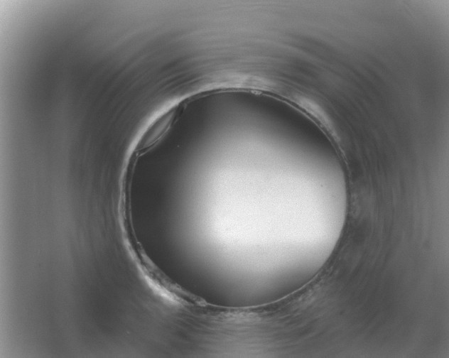 X0000066931136200604071839