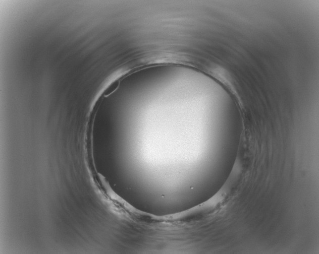 X0000066931138200604071839