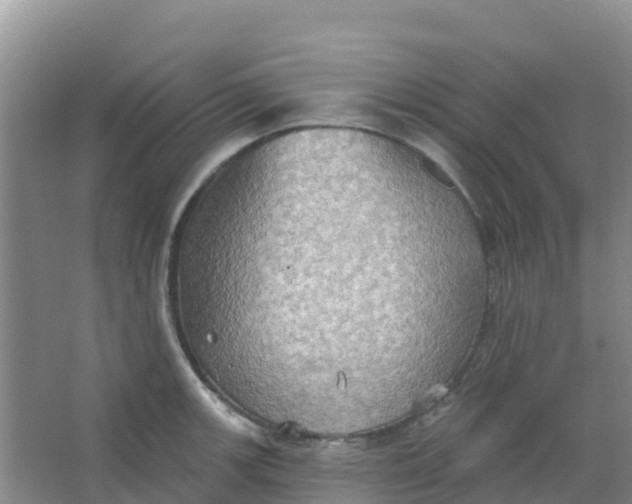 X0000066931139200604071839