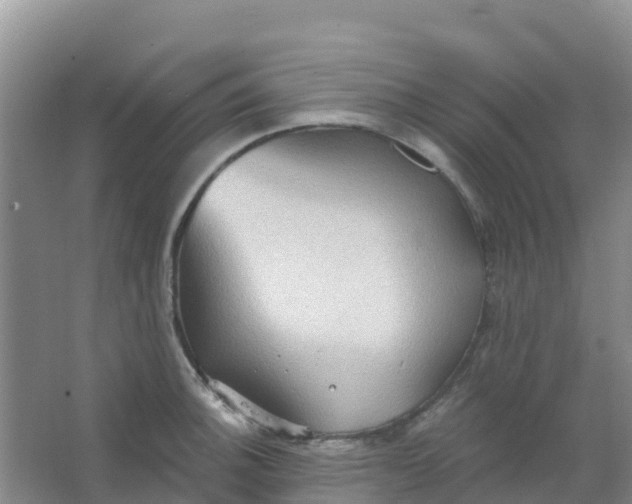 X0000066931140200604071839