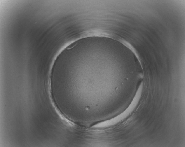 X0000066931144200604071839