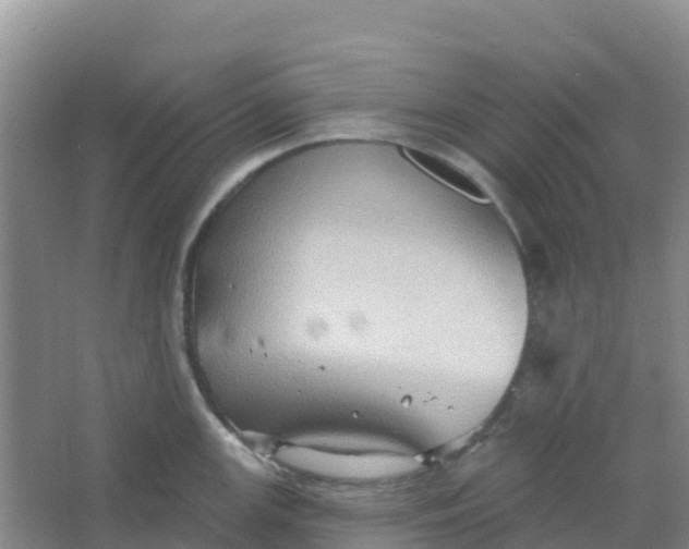 X0000066931147200604071840