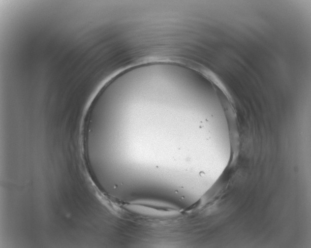 X0000066931148200604071840