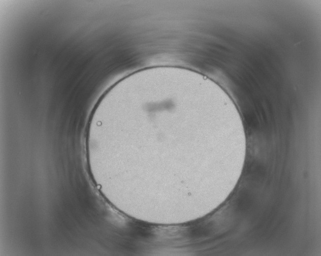 X0000066931150200604071840