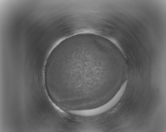 X0000066931151200604071840