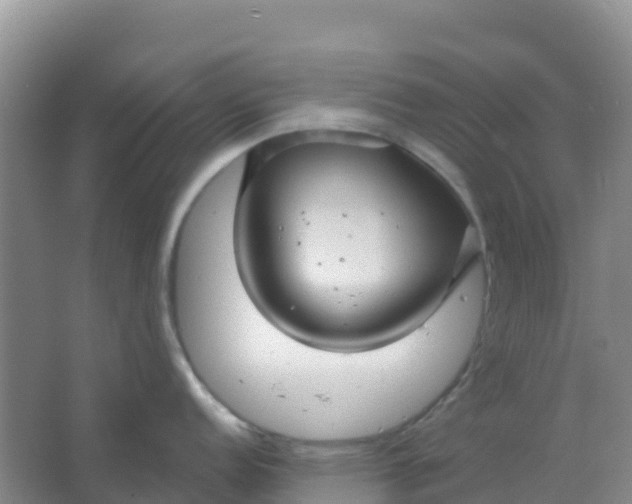 X0000066931152200604071840