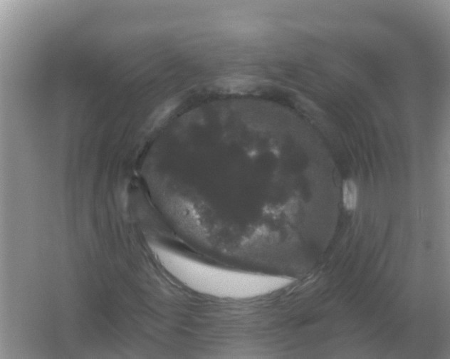 X0000066931155200604071839