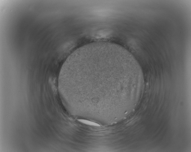 X0000066931156200604071839