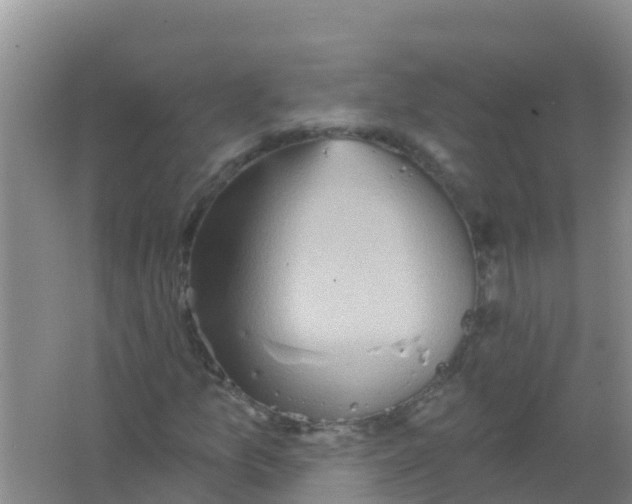 X0000066931157200604071839