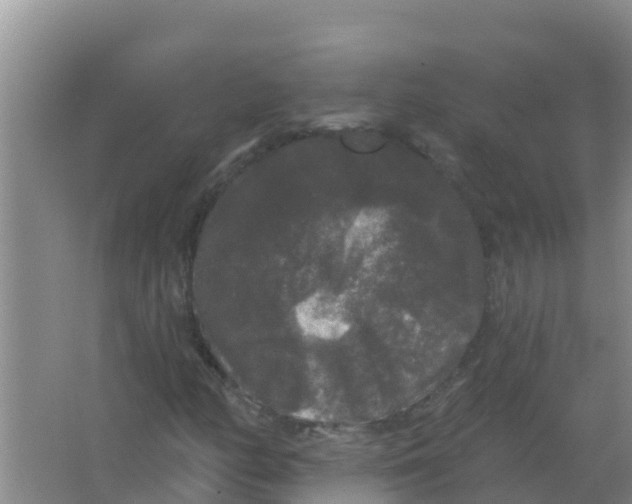 X0000066931158200604071839