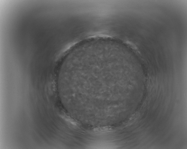 X0000066931159200604071839