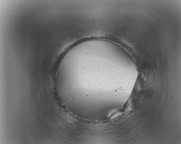 X0000066931160200604071839