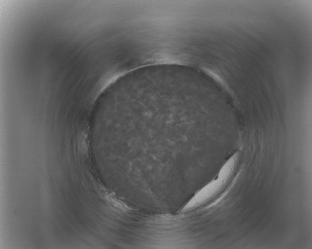 X0000066931163200604071839