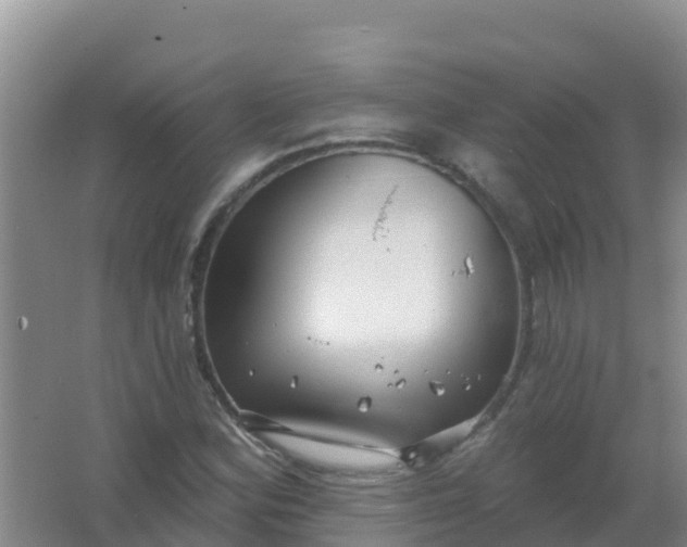 X0000066931164200604071839