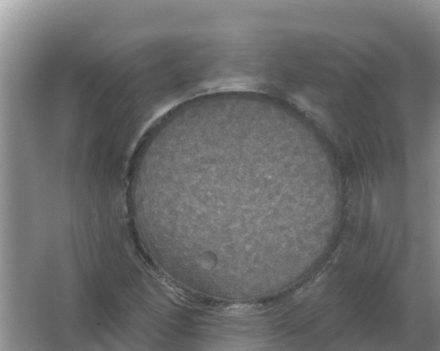 X0000066931166200604071839