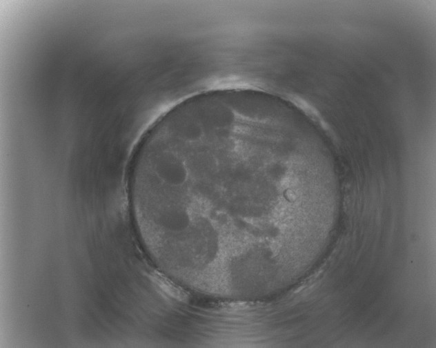 X0000066931167200604071839