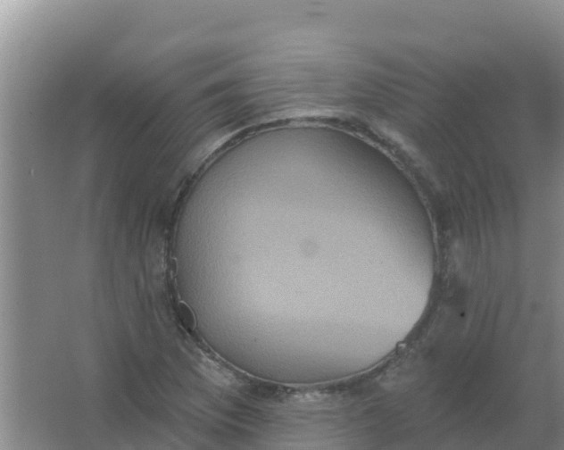 X0000066931169200604071839