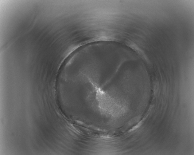 X0000066931170200604071839