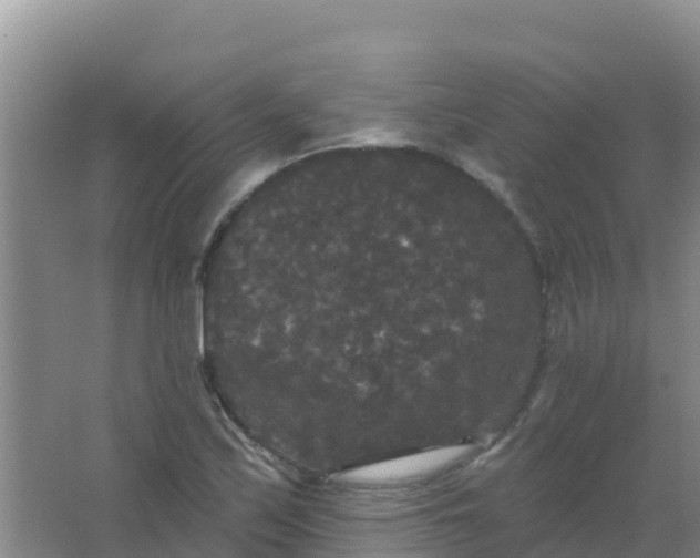 X0000066931171200604071838