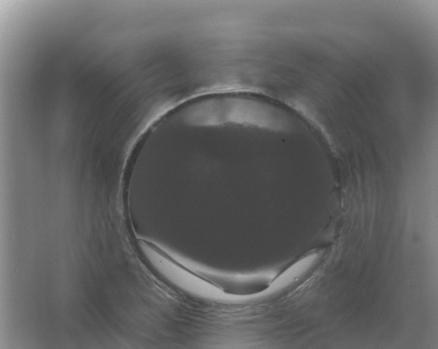 X0000066931173200604071838