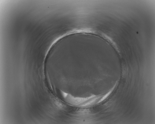 X0000066931174200604071838