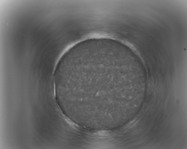 X0000066931175200604071838