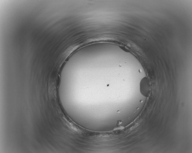 X0000066931177200604071838