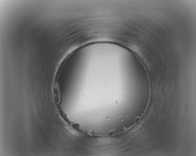 X0000066931181200604071838