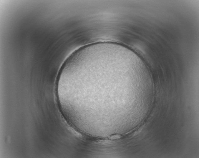 X0000066931182200604071838