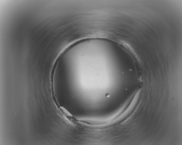 X0000066931184200604071838